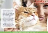 Tchibo letk, strana 2 